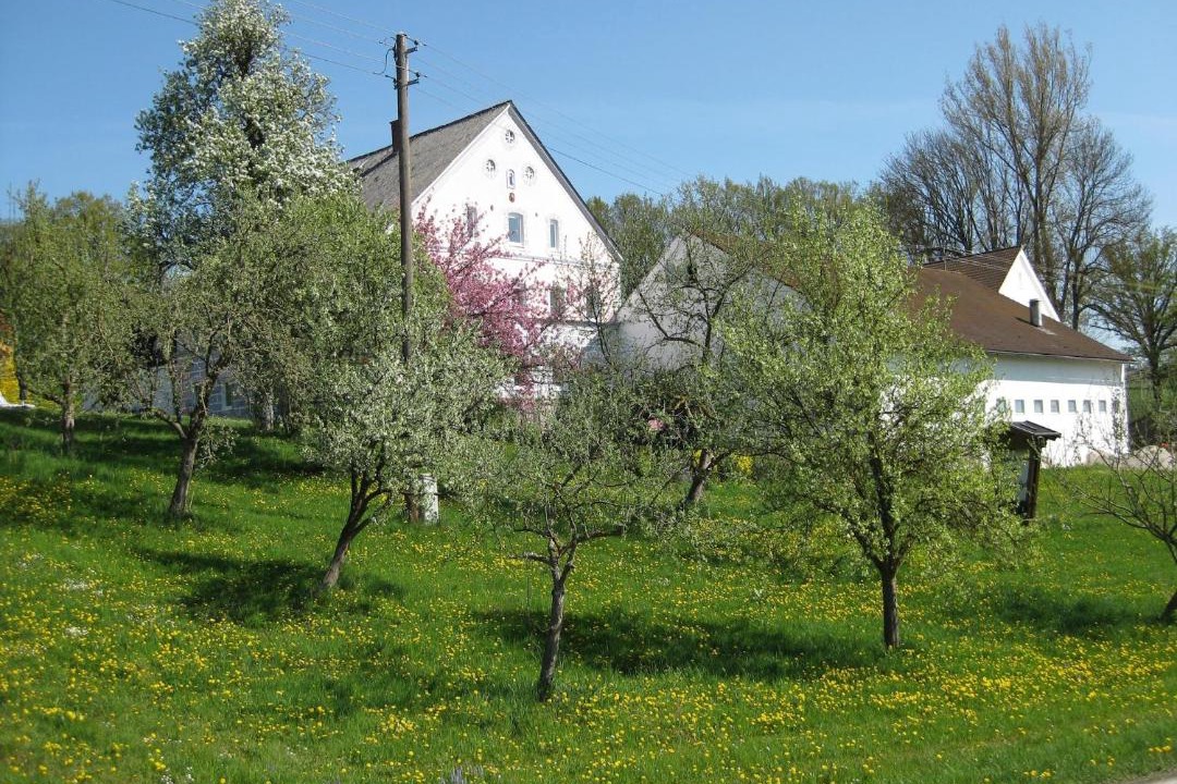 Photo of Others in Rotthalmuenster