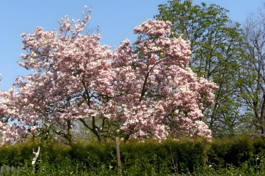 Photo of Others in Wasserburg