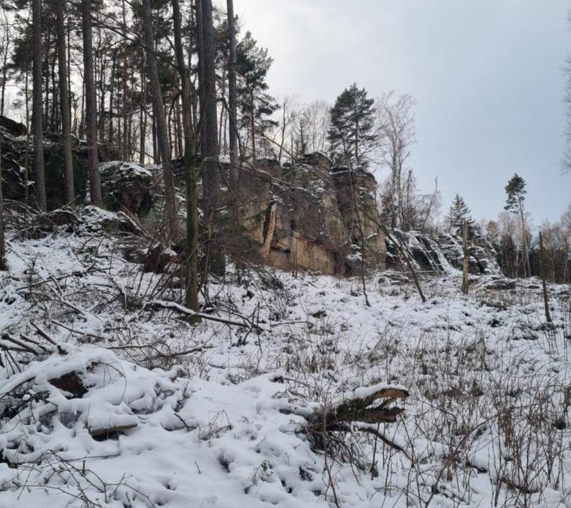Photo of Others in Berggieshubel
