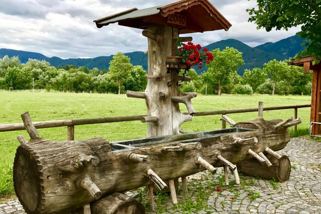 Photo of Others in Schwangau