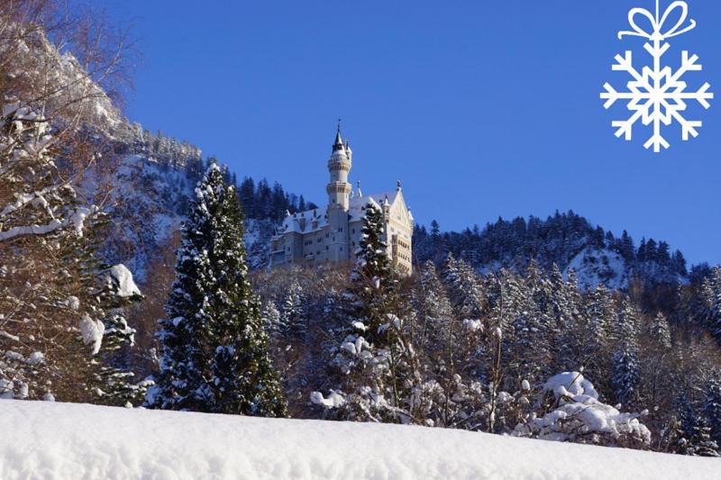 Photo of Others in Schwangau