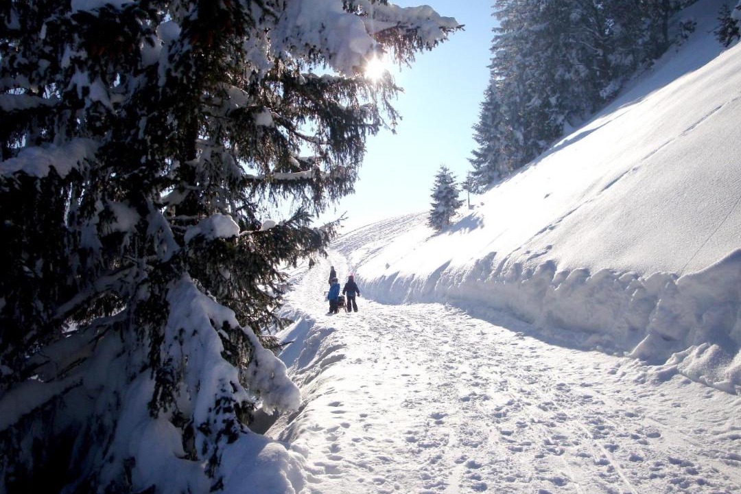 Photo of Others in Buhl am Alpsee