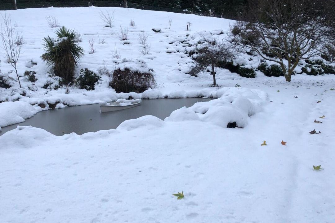 Photo of Others in Lower Shotover