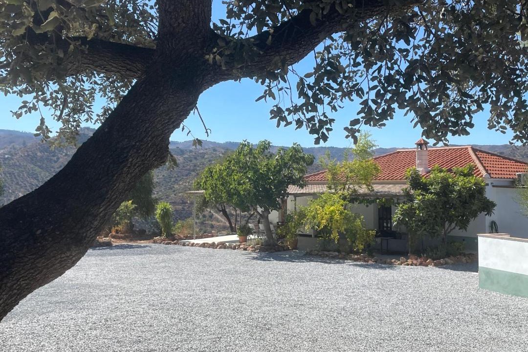 Photo of Others in Comares