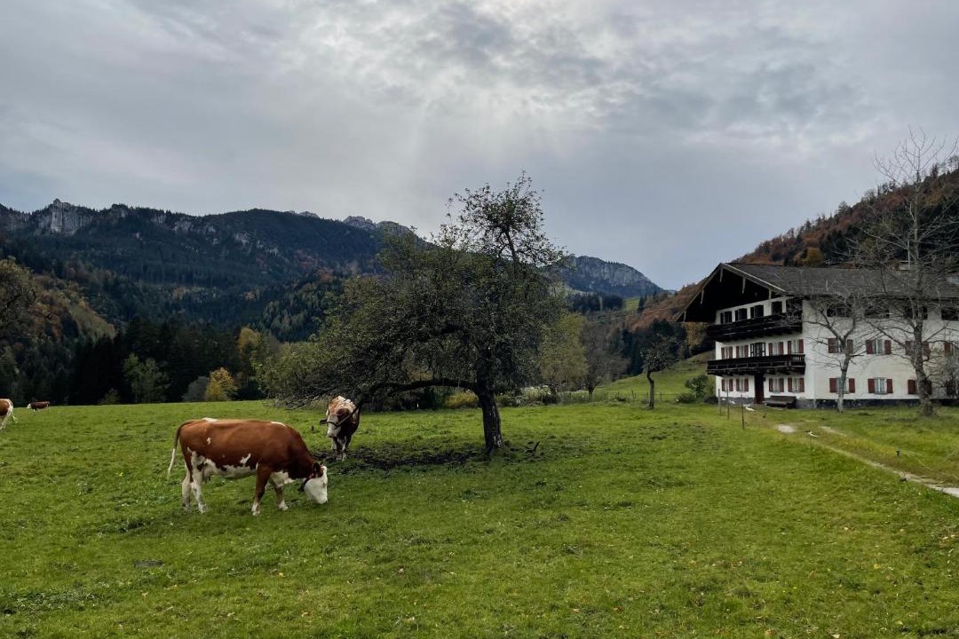 Photo of Others in Aschau im Chiemgau