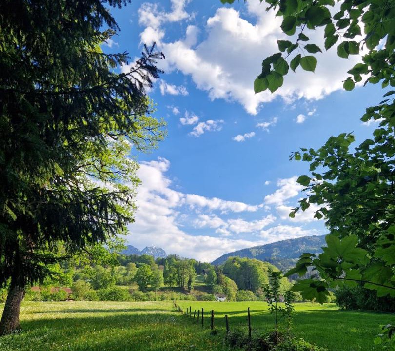 Photo of Others in Bad Feilnbach