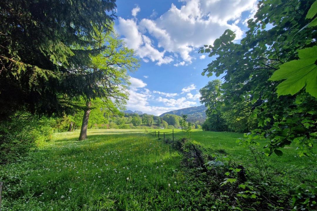 Photo of Others in Bad Feilnbach
