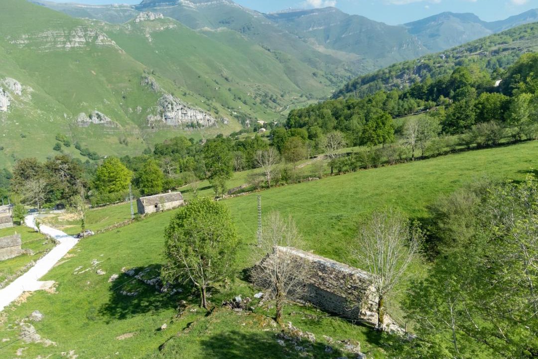 Photo of Others in San Roque de Riomiera
