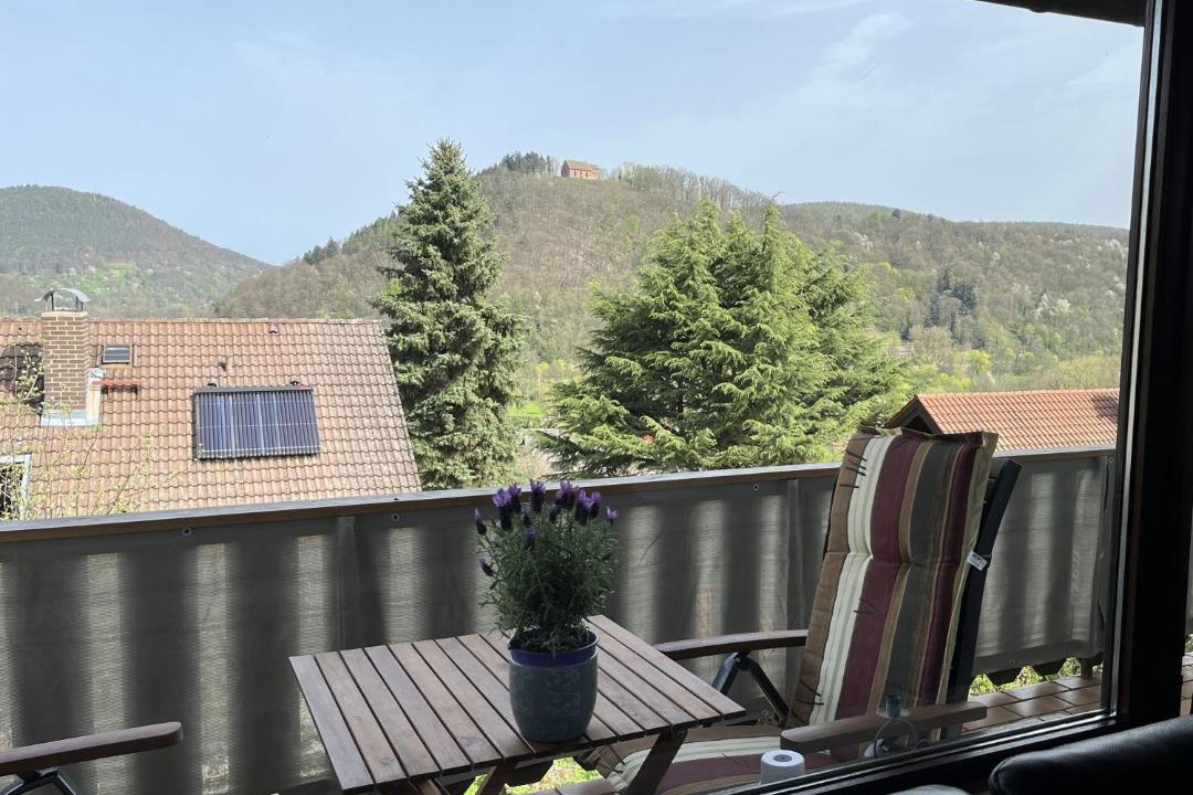 Photo of Others in Amorbach