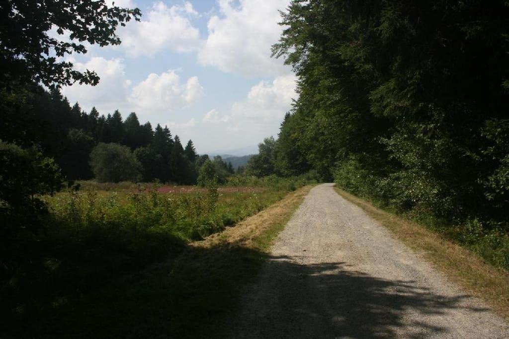 Photo of Others in Geyersberg