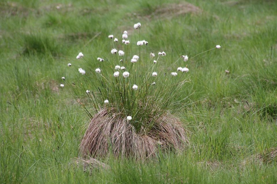 Photo of Others in Fladungen