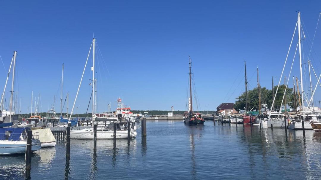 Photo of Others in Laboe