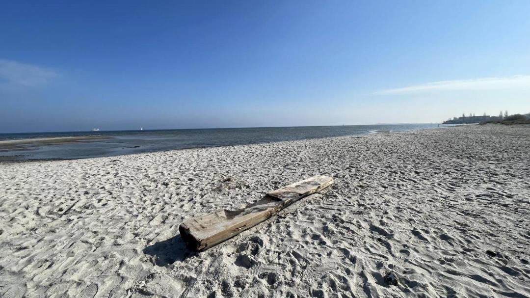 Photo of Others in Laboe