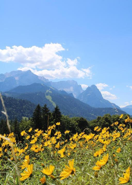 Photo of Others in Garmisch-Partenkirchen