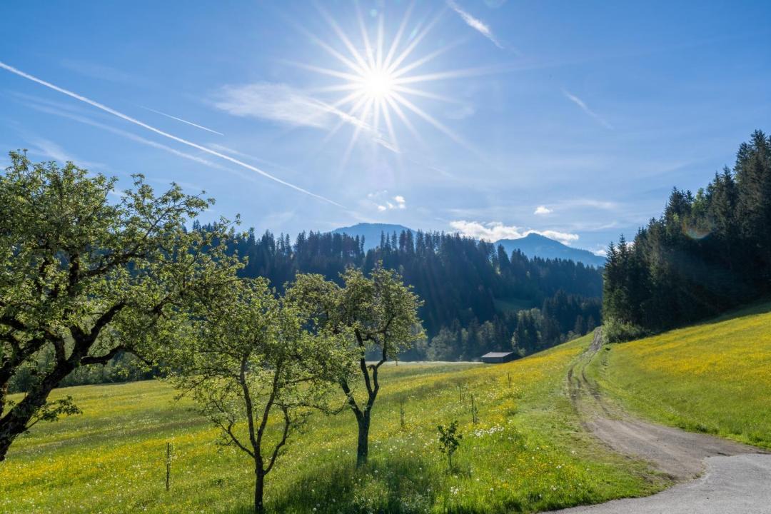 Photo of Others in Westendorf