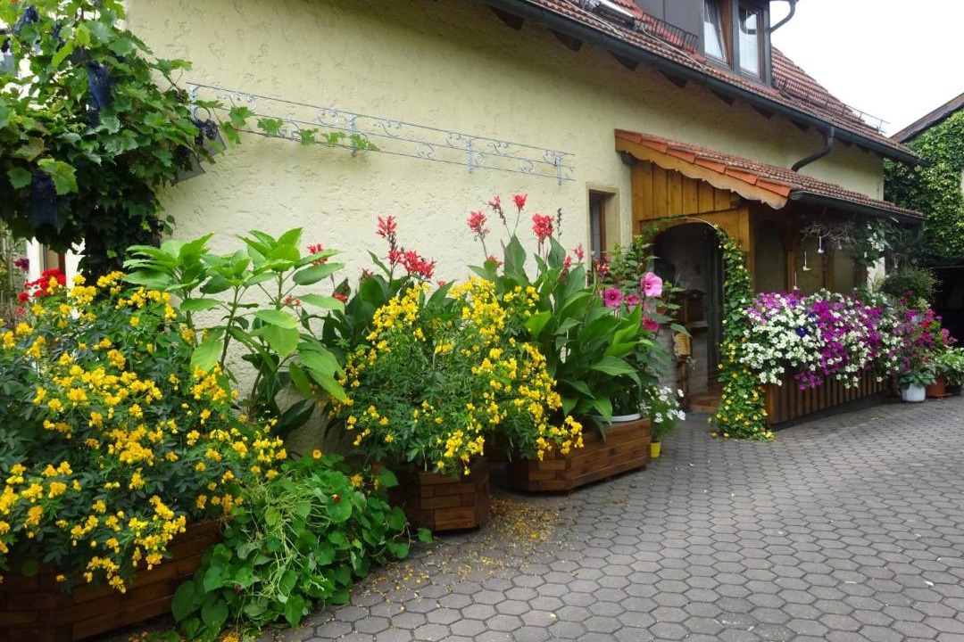 Photo of Others in Harsdorf