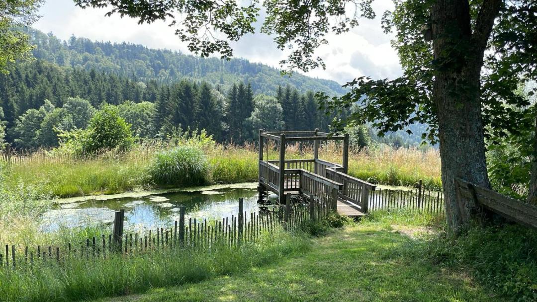 Photo of Others in Schwarzach