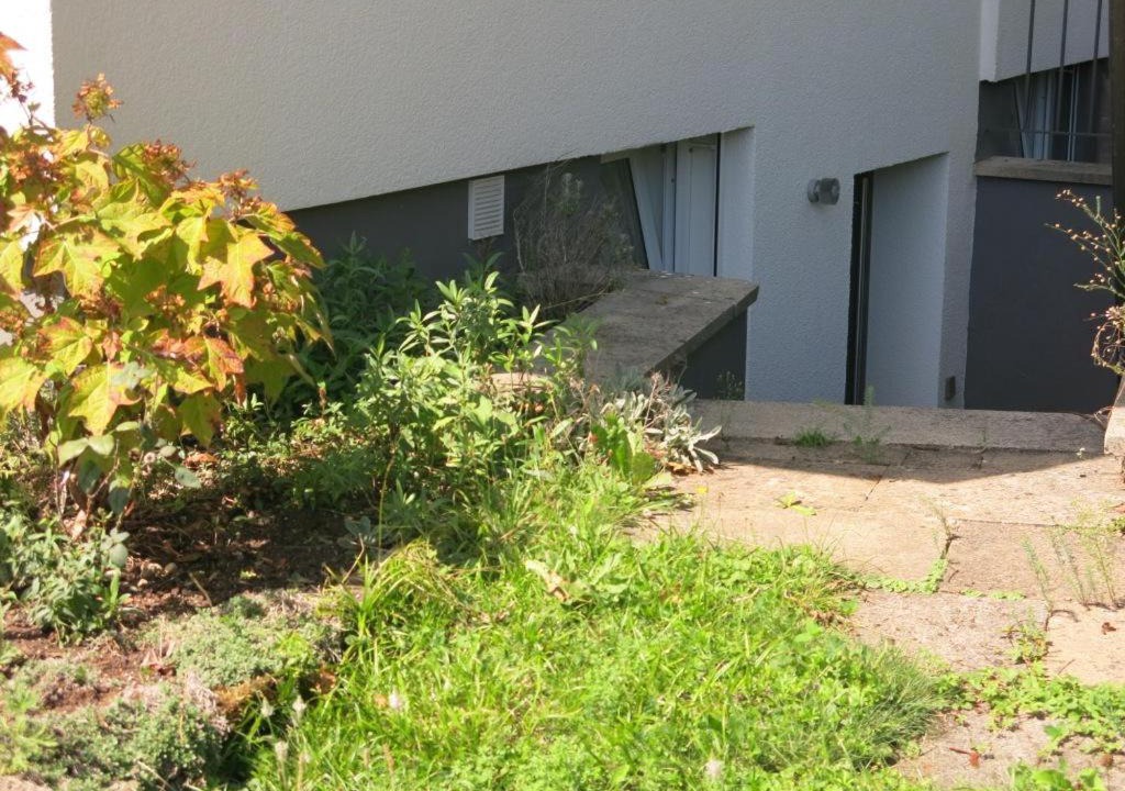 Photo of Others in Tuebingen