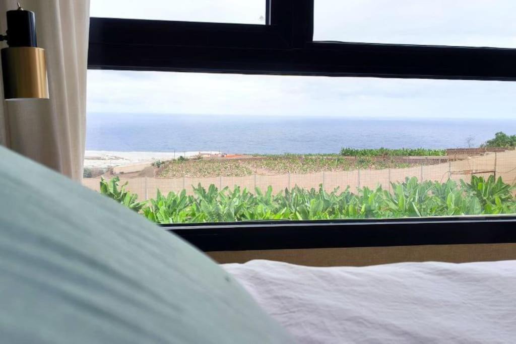 Photo of Others in Santa Maria de Guia de Gran Canaria