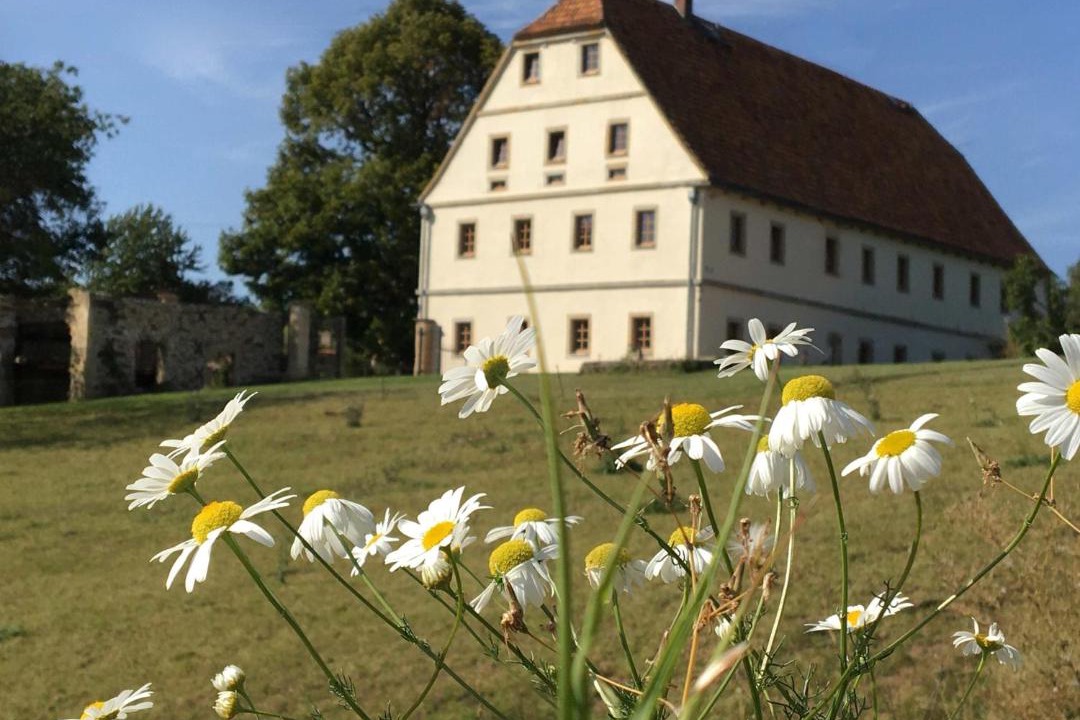 Photo of Others in Liebstadt
