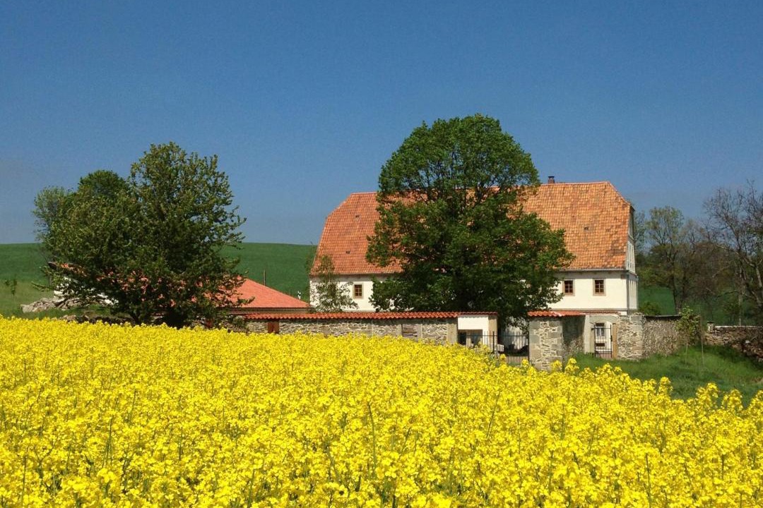 Photo of Others in Liebstadt