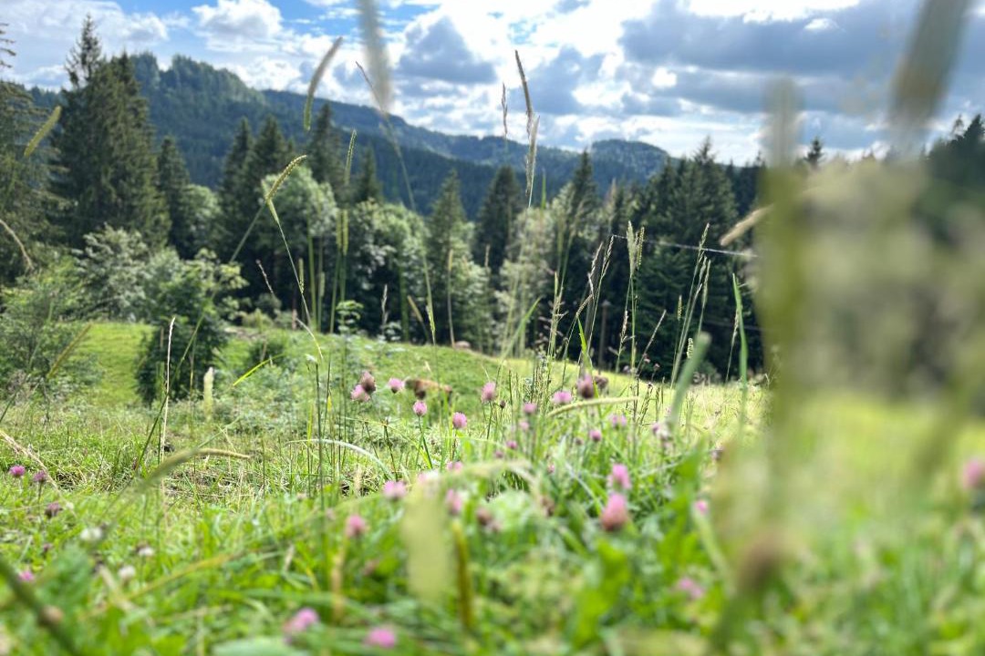 Photo of Outdoor in Buchenberg