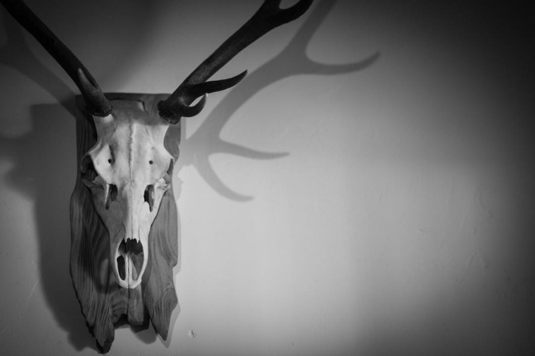 Photo of Others in Argentiere