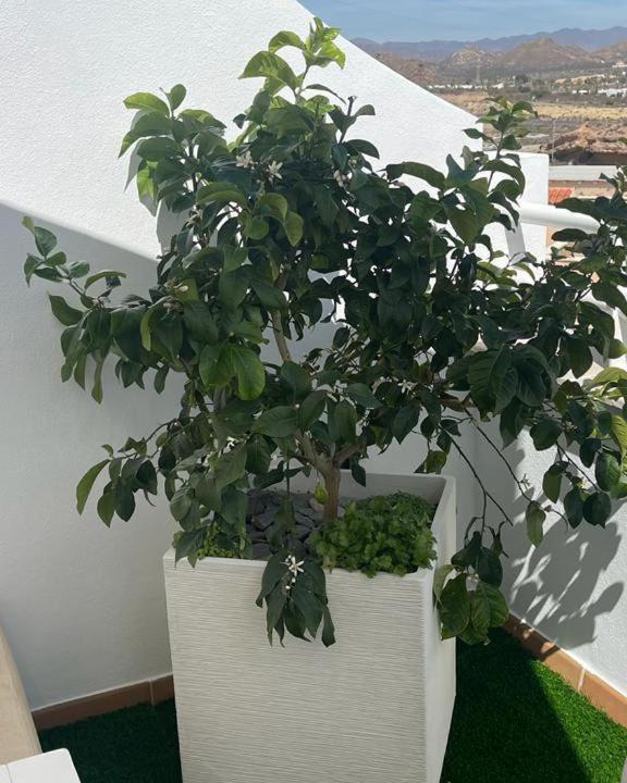 Photo of Others in San Juan de los Terreros