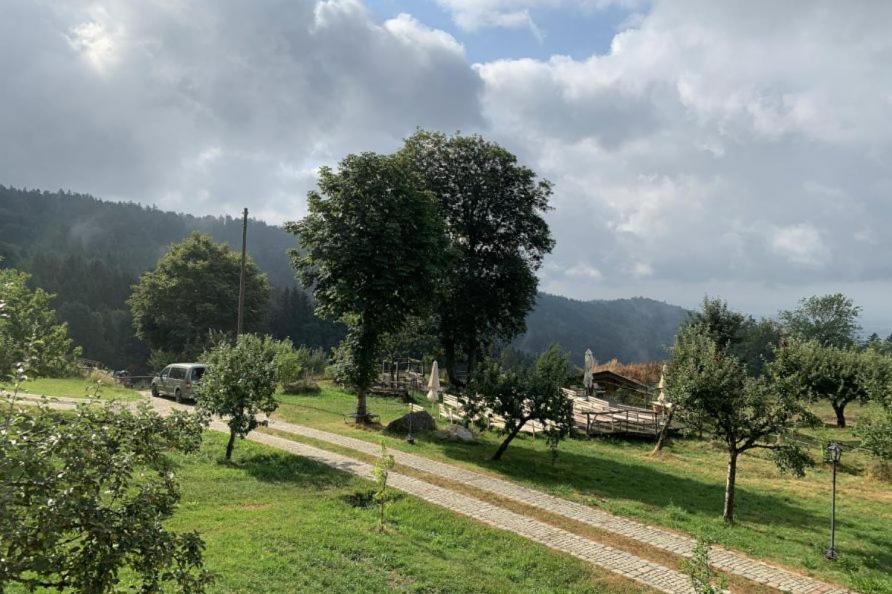 Photo of Others in Schwarzach