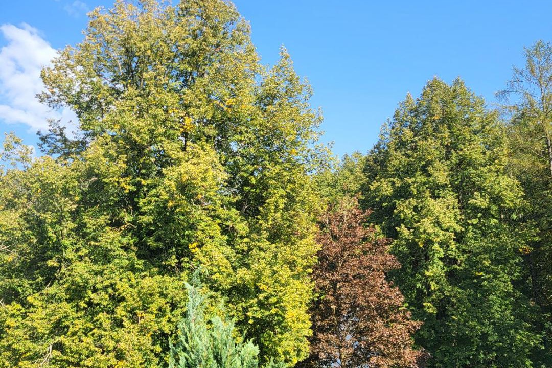 Photo of Others in Eggenfelden
