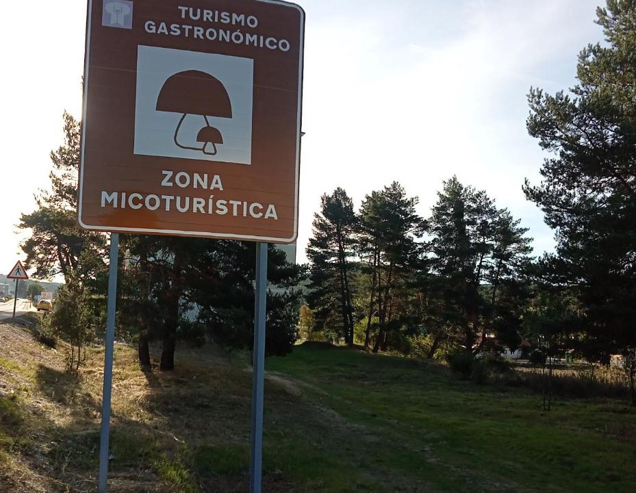 Photo of Others in San Leonardo de Yague