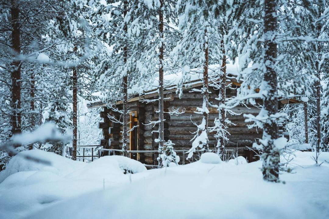 Photo of Others in Rovaniemi