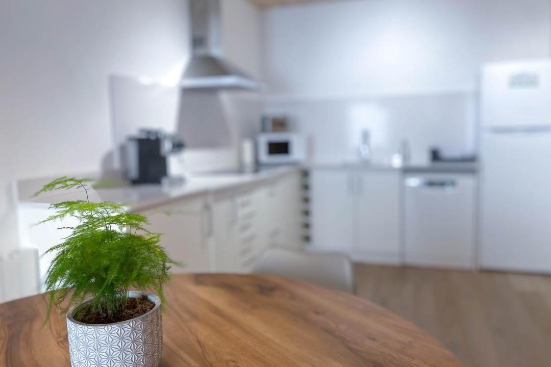Photo of Kitchen in Escalo