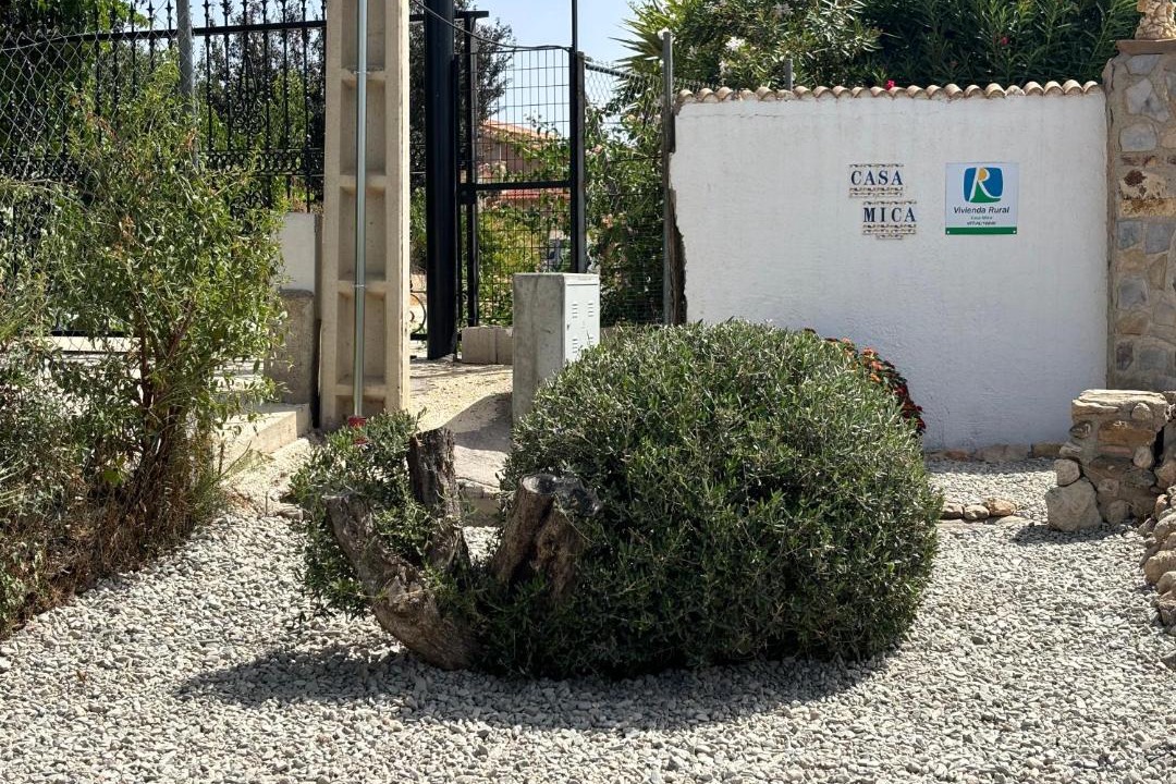 Photo of Others in Locaiba