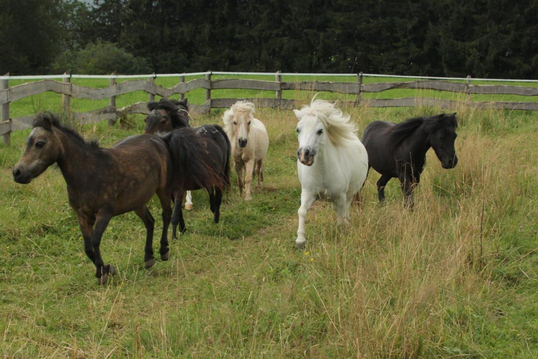 Photo of Others in Gruenenbach