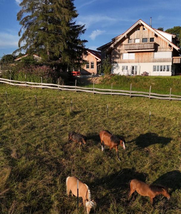 Photo of Others in Gruenenbach