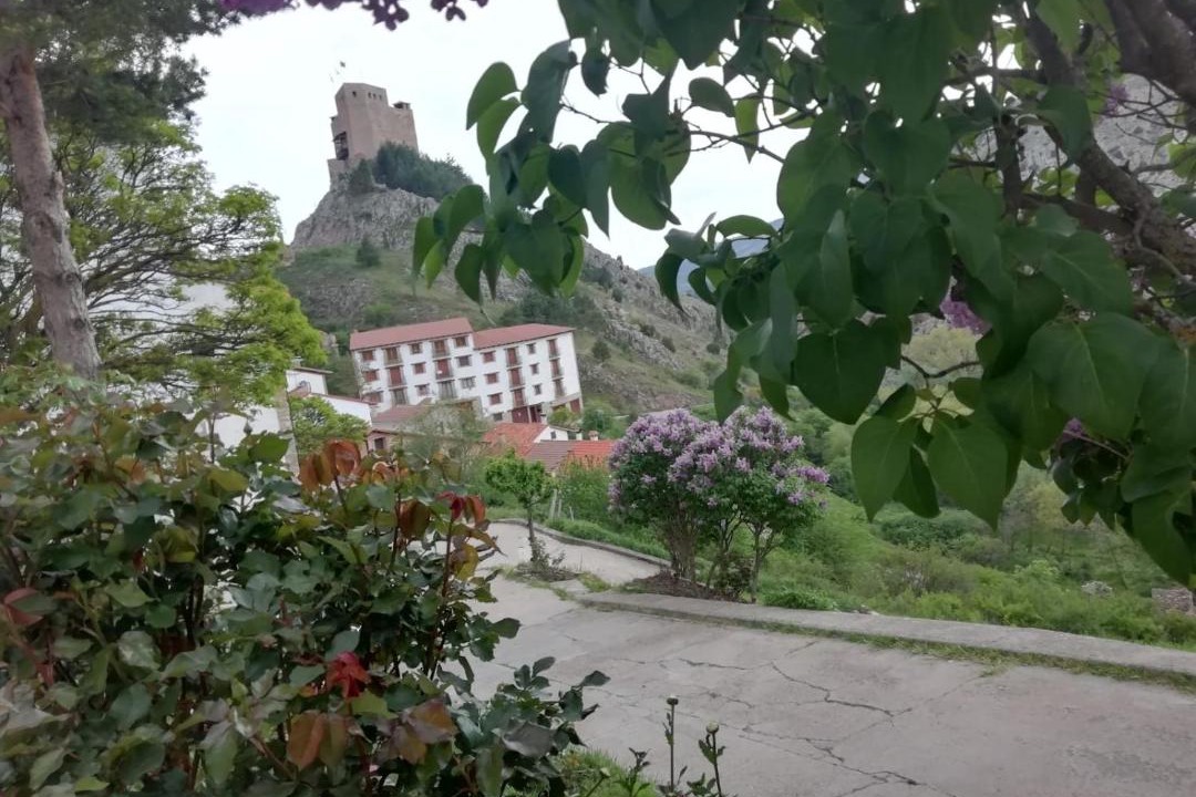 Photo of Others in Alcala de la Selva