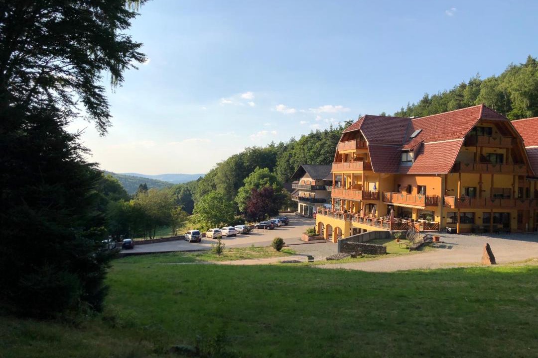 Photo of Others in Dammbach