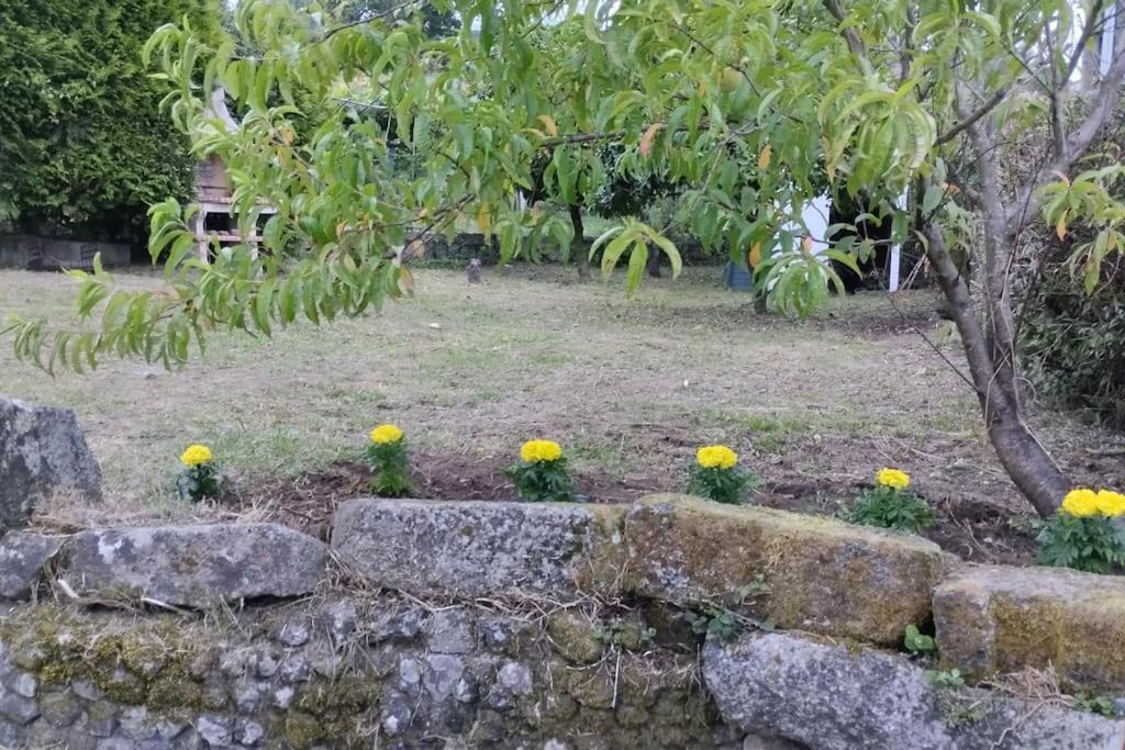 Photo of Others in Villasobroso