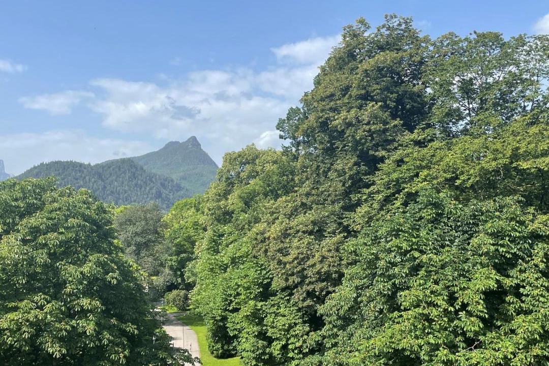 Photo of Others in Bad Reichenhall