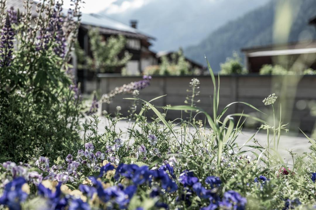 Photo of Others in Holzgau