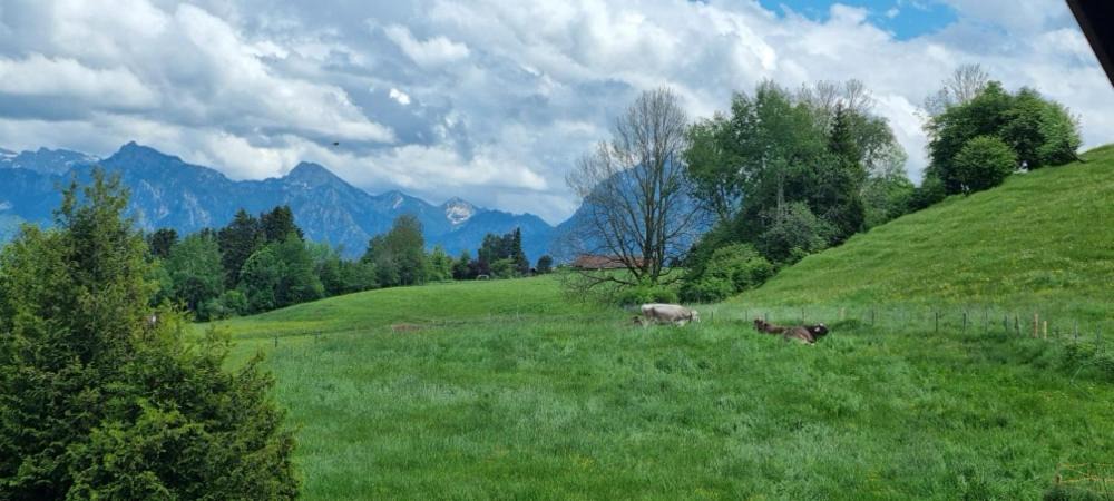 Photo of Others in Hopferau
