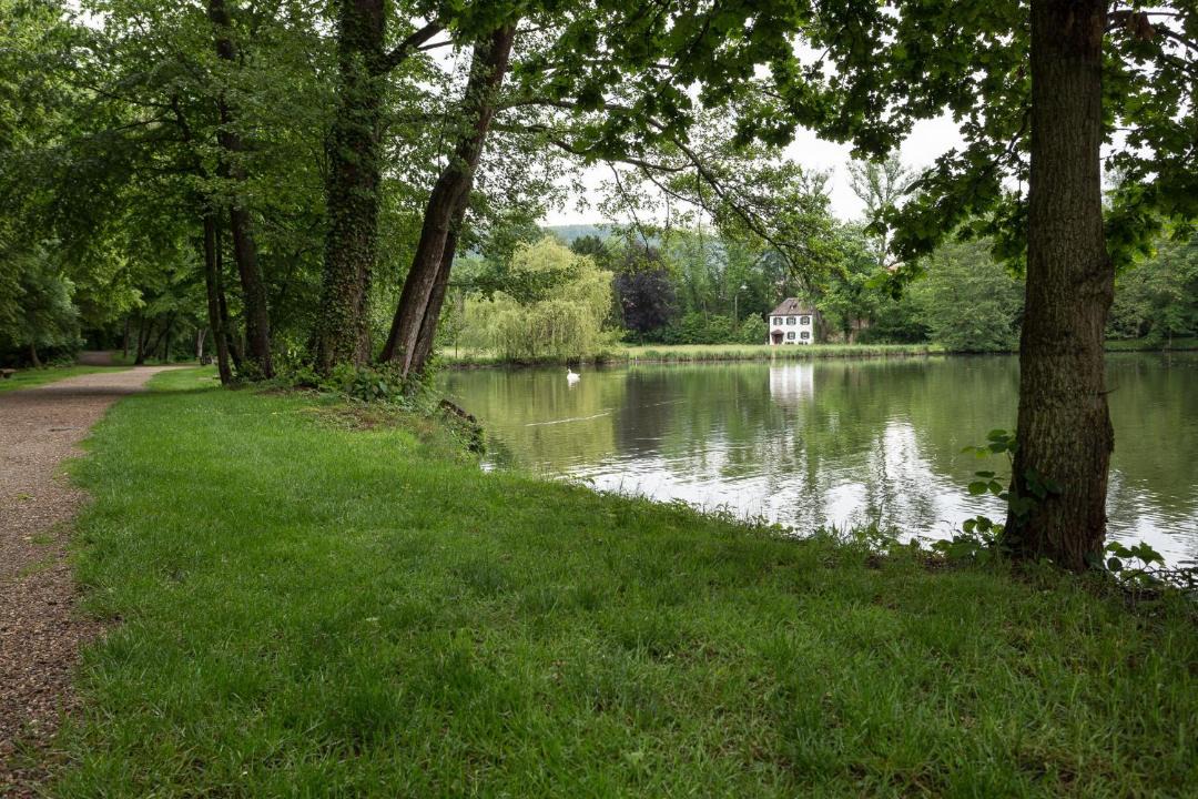 Photo of Others in Amorbach