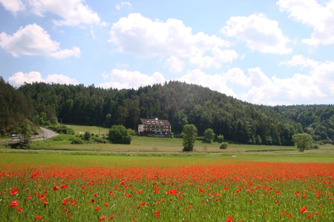 Photo of Others in Waischenfeld