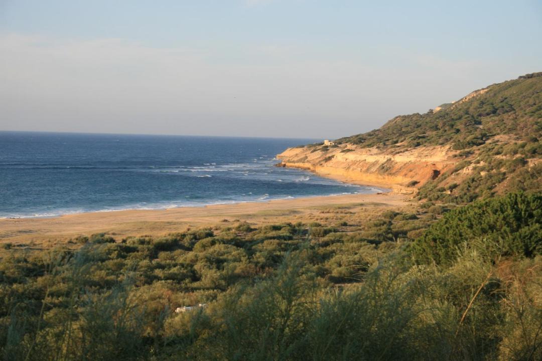 Photo of Others in Brena y Marismas de Barbate Natural Park