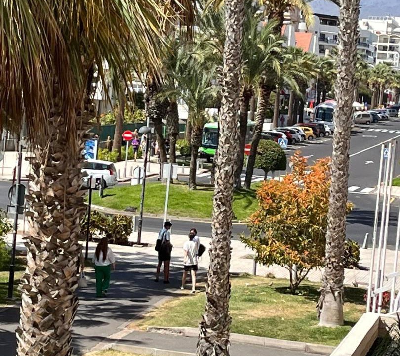 Photo of Others in El Madronal