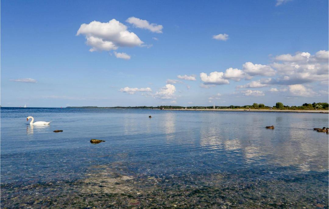 Photo of Others in Travemuende
