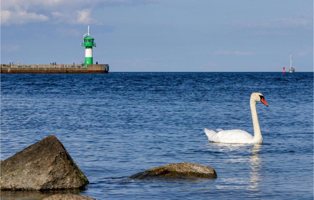 Photo of Others in Travemuende
