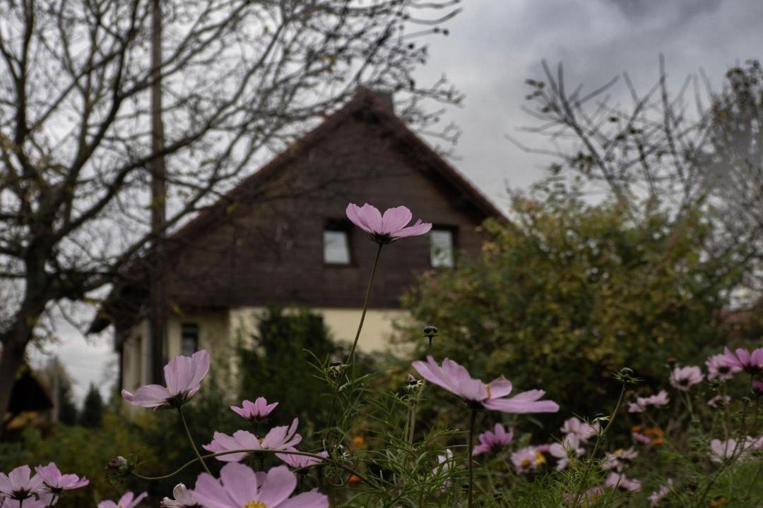 Photo of Others in Bad Gottleuba-Berggiesshuebel