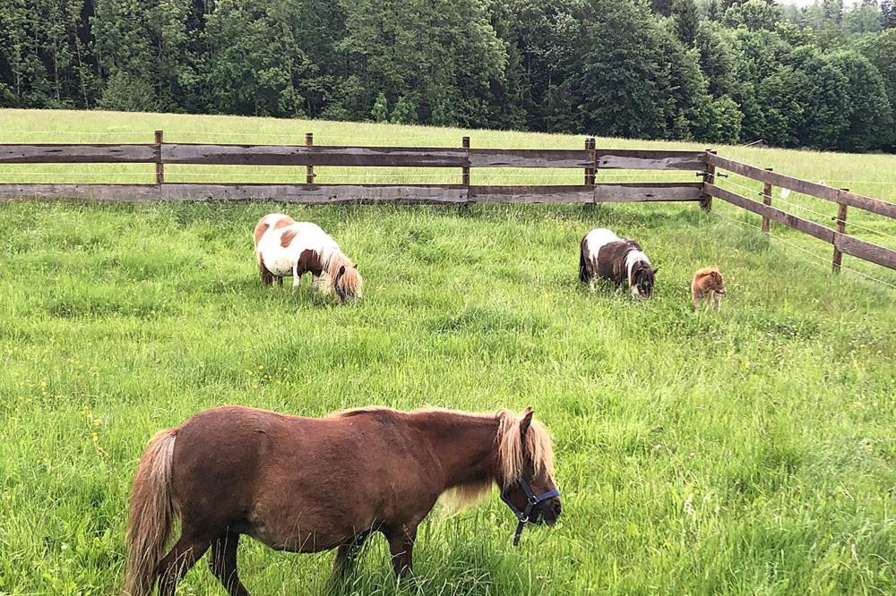 Photo of Others in Riedering